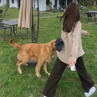 蔚蓝反射:澪